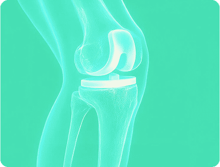 Tarabichi Hip & Knees
